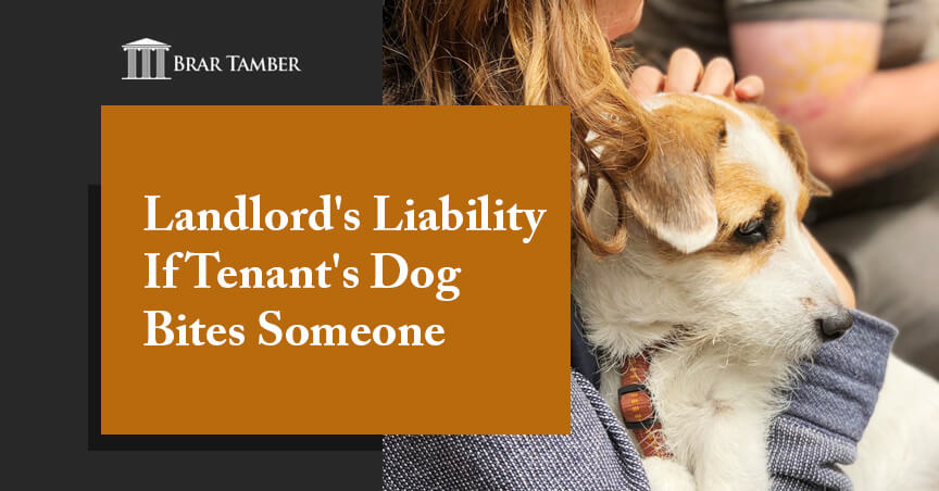 Landlord's Liability If Tenant's Dog Bites Someone